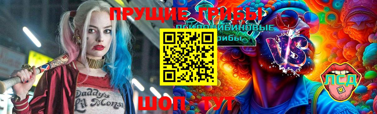 Псилоцибиновые грибы мухоморы Лабинск