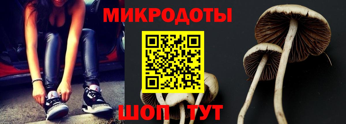 Лабинск  Псилоцибиновые грибы Magic Shrooms  Вход с VPN  Псилоцибиновые грибы мухоморы 